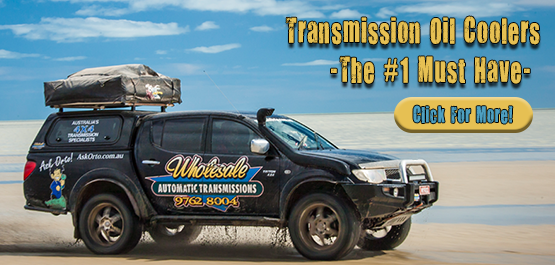 Coolers Homepage No2 555x265 Coolers Homepage No2 555x265